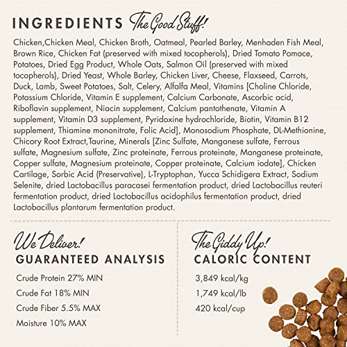 Fromm Puppy Gold lamb-kibble close-up underscores variety and amino-acid support for growing dogs.