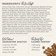 Fromm Puppy Gold lamb-kibble close-up underscores variety and amino-acid support for growing dogs.