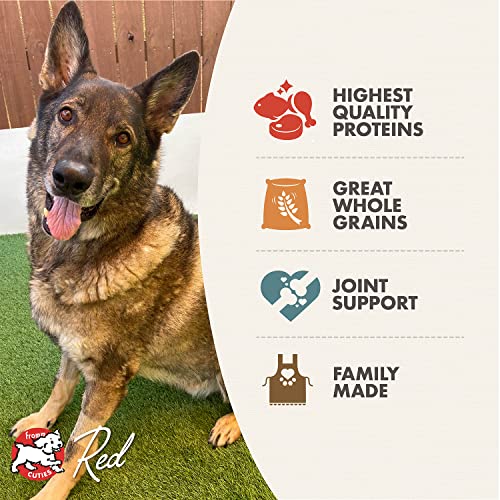Fromm Senior Gold whole-grain blend for steady energy and fiber