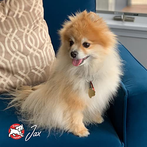 Fromm Small Breed Adult Gold family-owned heritage and Wisconsin roots.