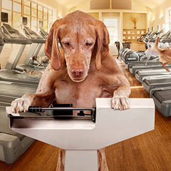 Fromm Weight Management Gold turkey-liver protein kibble highlighting digestible protein source