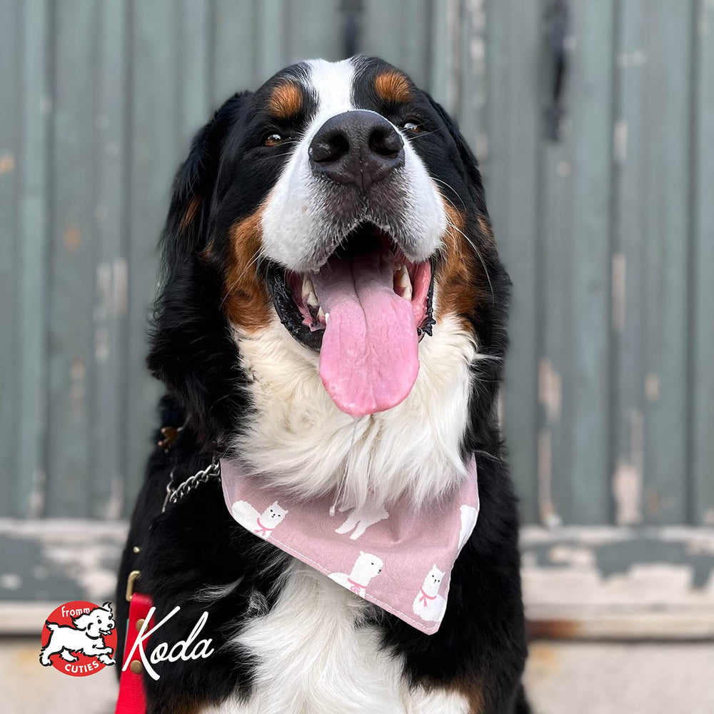 Fromm Weight Management Gold turkey recipe kibble with flavorful protein