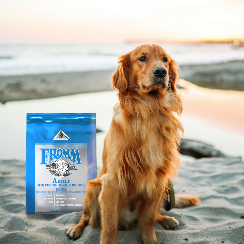 Fromm Whitefish Protein-rich kibble closeup showcases digestible, flavorful protein source.