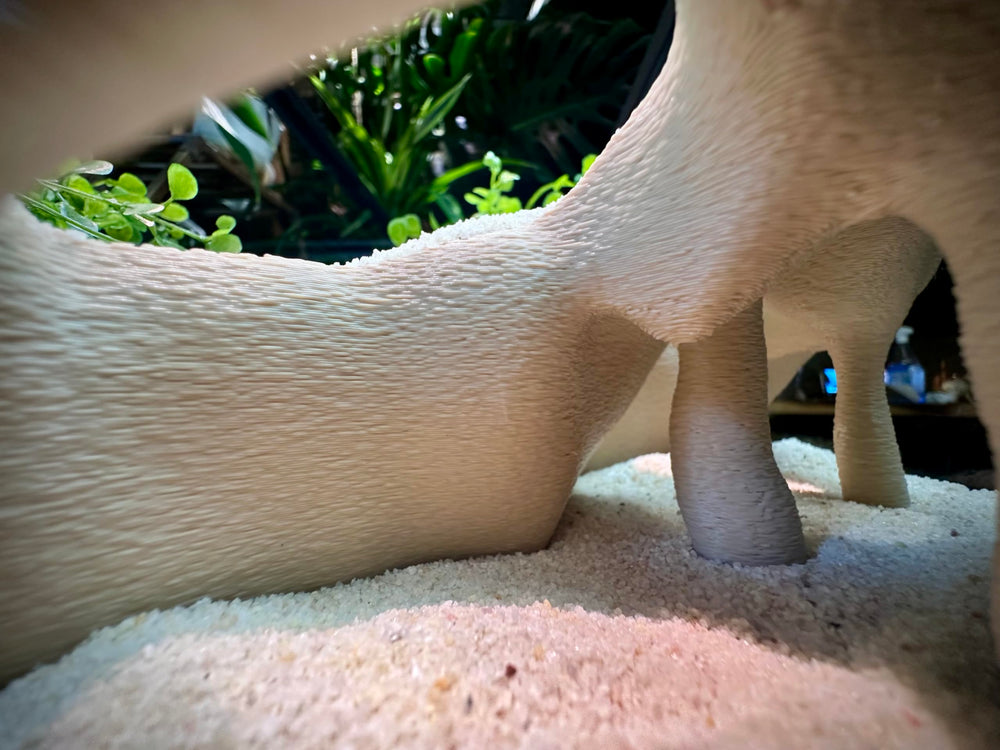 FROSTO aquarium corner cave open-structure supports stress-free monitoring of aquatic pets.