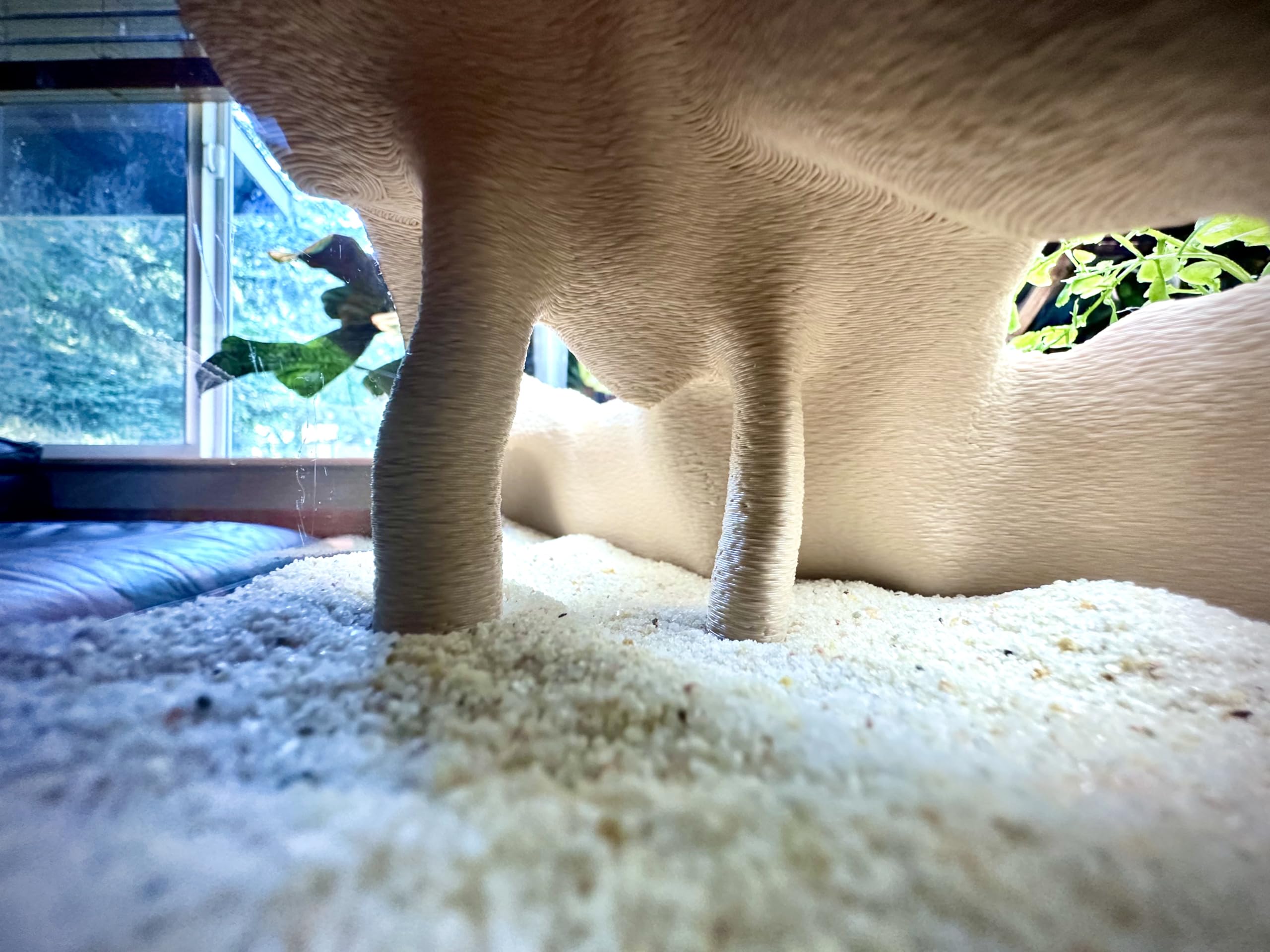 FROSTO corner cave snail-friendly design encourages rest and exploration.