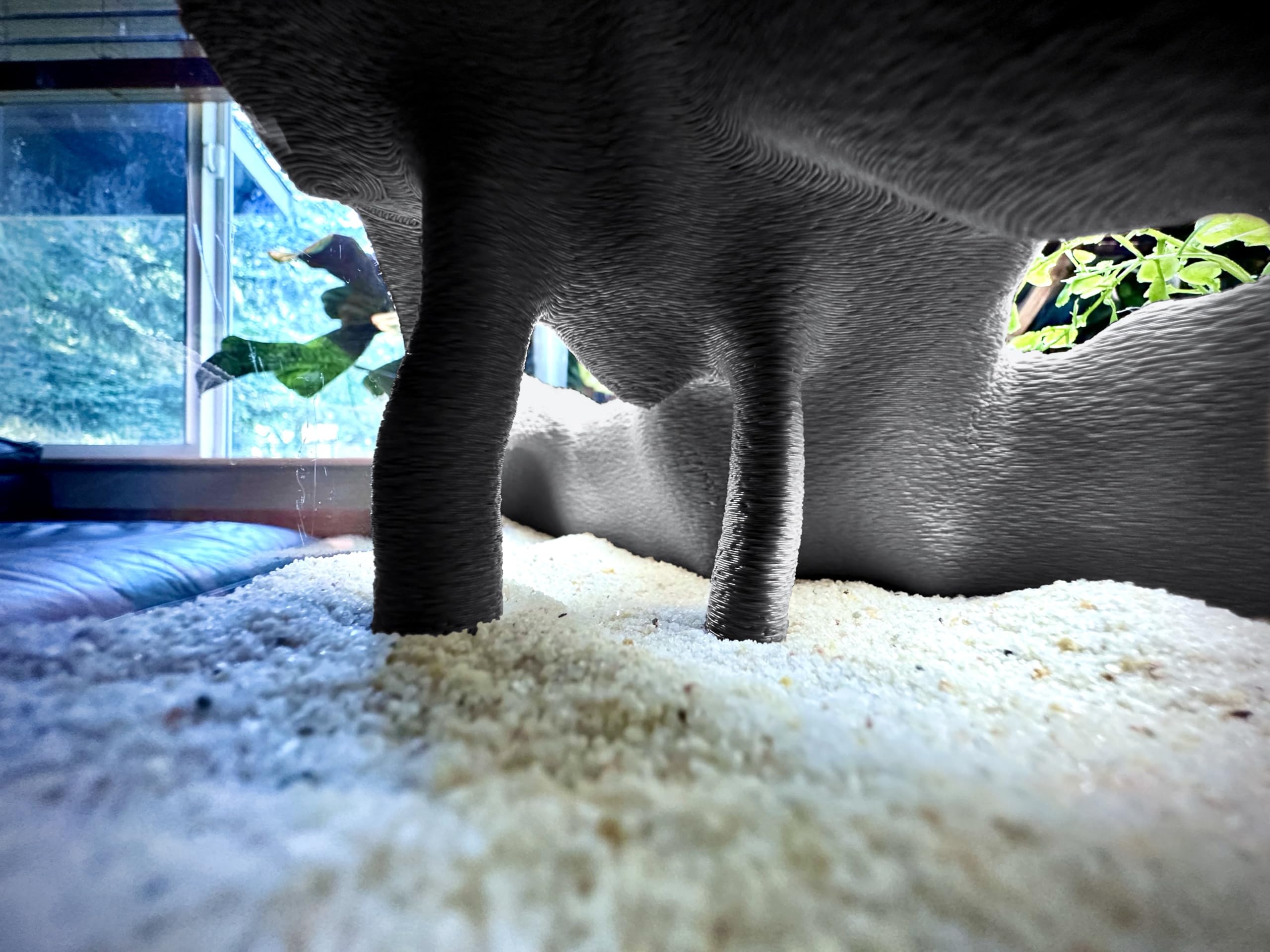 FROSTO Open internal space view allows pet observation without stress.