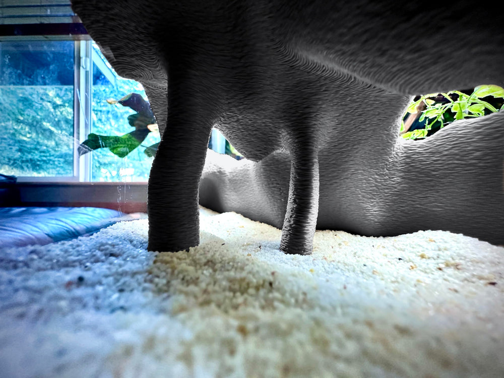 FROSTO Open internal space view allows pet observation without stress.