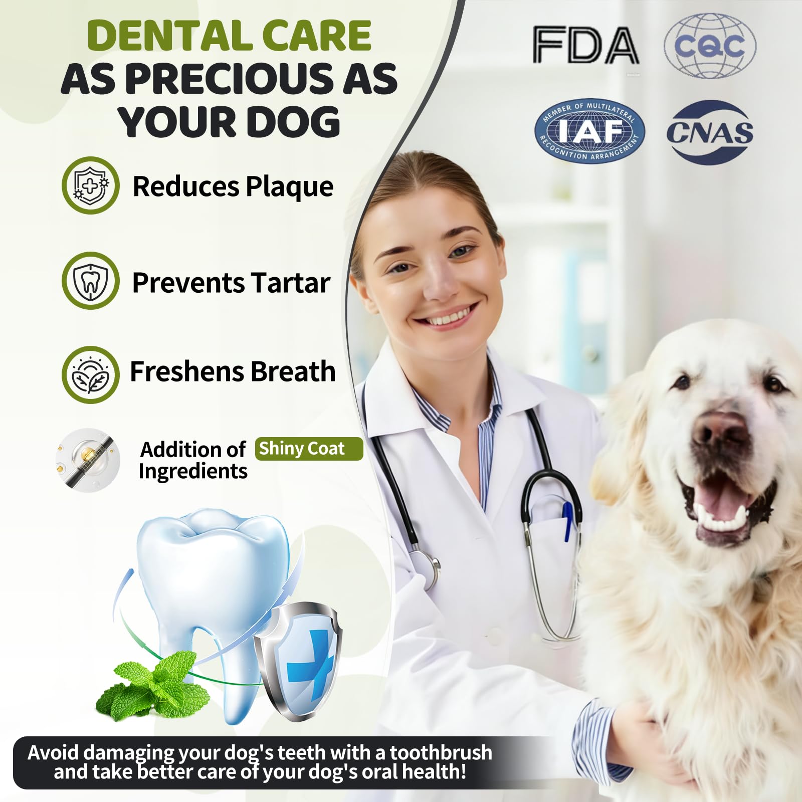 Fruaros measuring spoon with dog dental powder enables consistent, mess-free dosing.