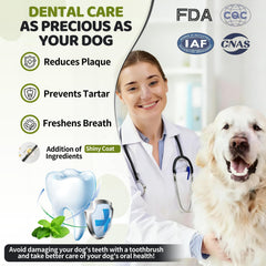 Fruaros measuring spoon with dog dental powder enables consistent, mess-free dosing.