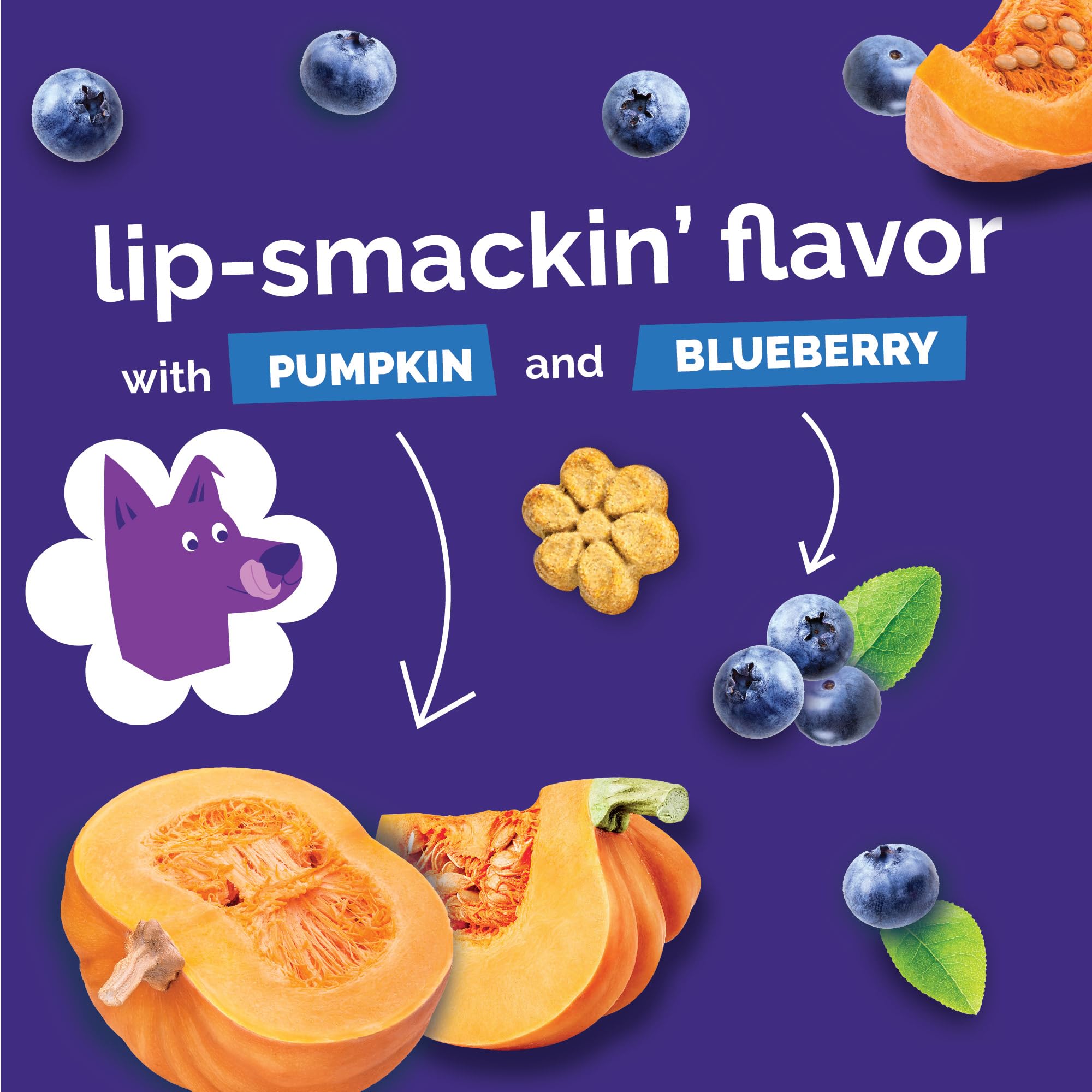 Fruitables Pumpkin Banana treats – low-calorie trainer-friendly bite