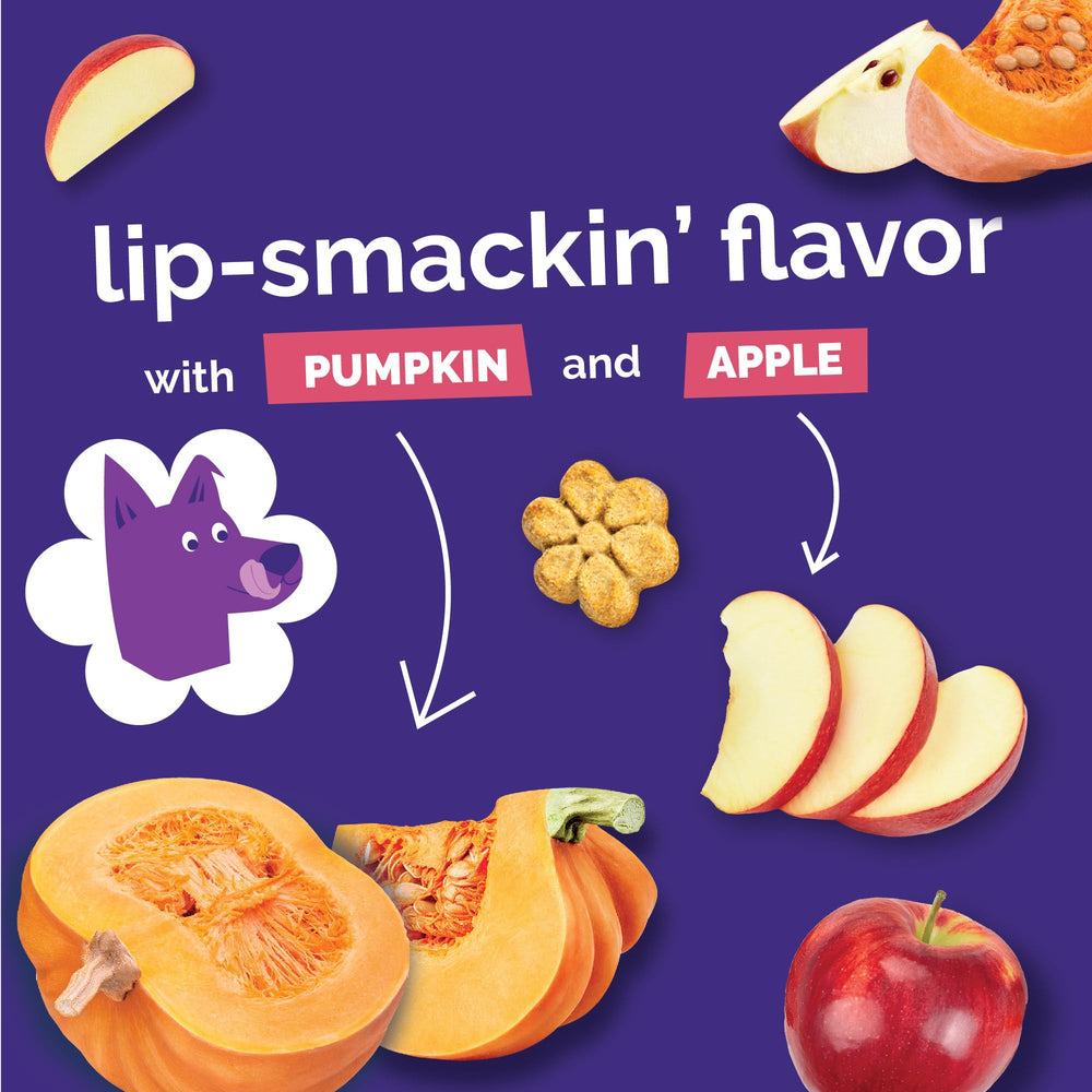 Fruitables Baked Pumpkin Dog Treats in a training session reward scenario