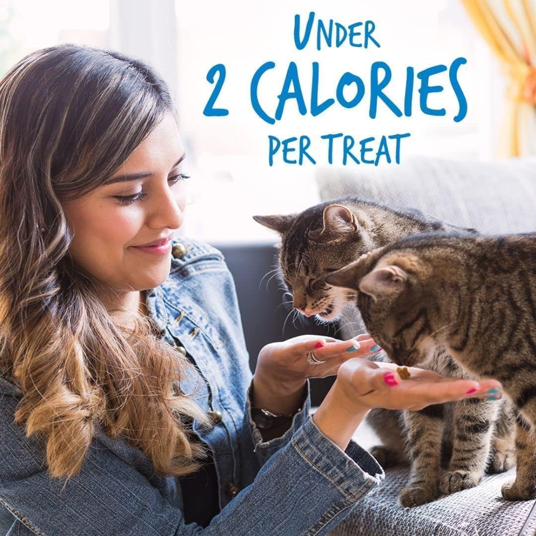 Fruitables Cat Treats crunchy texture—captivating snap and flaky inside.
