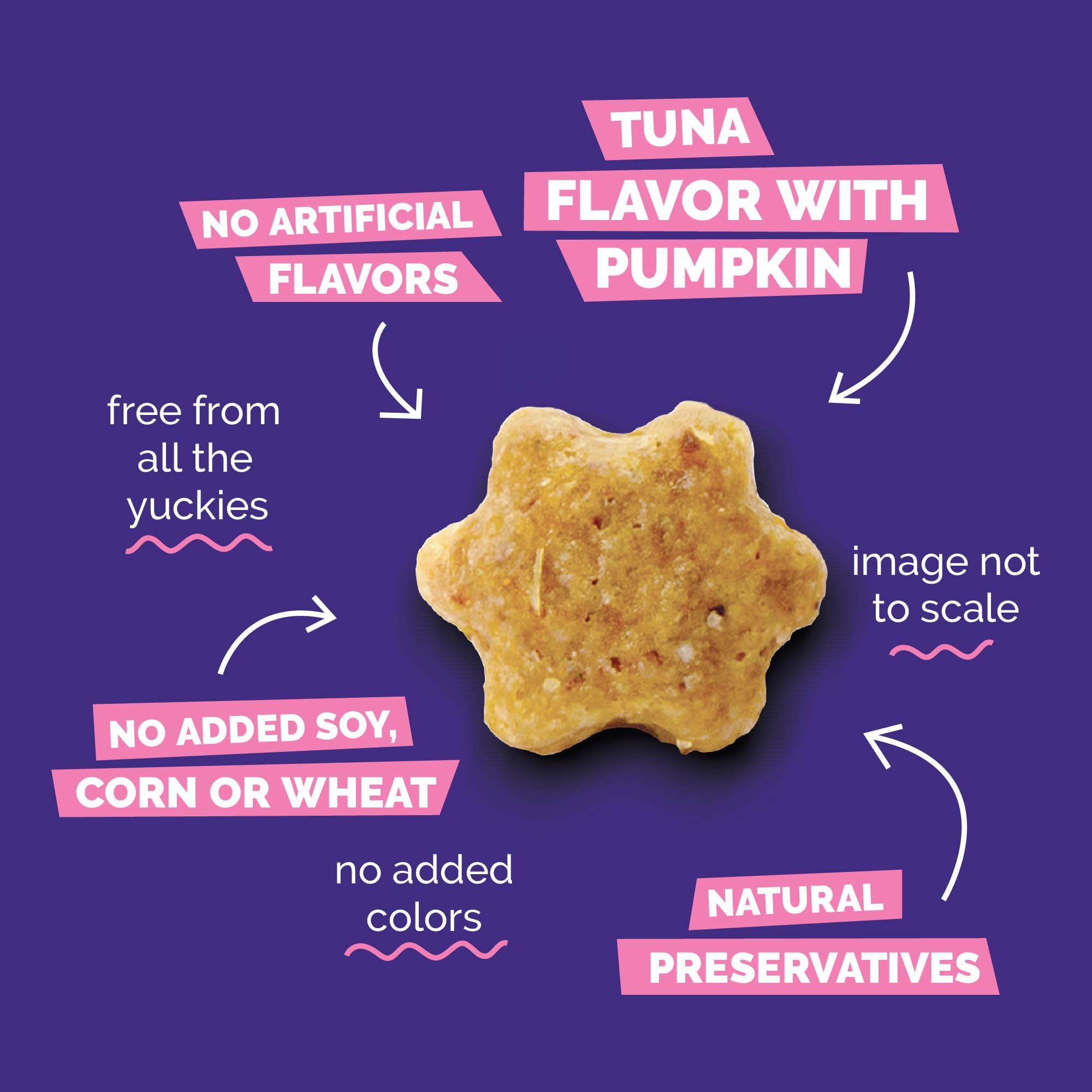 Fruitables Cat Treats pumpkin digestive support – pumpkin aids sensitive stomachs.