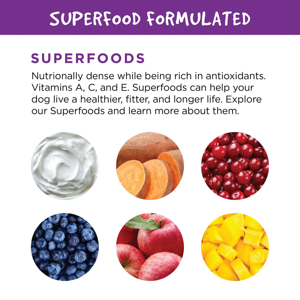 Fruitables pumpkin-digestive-supplement fiber-boost supports daily digestive routines