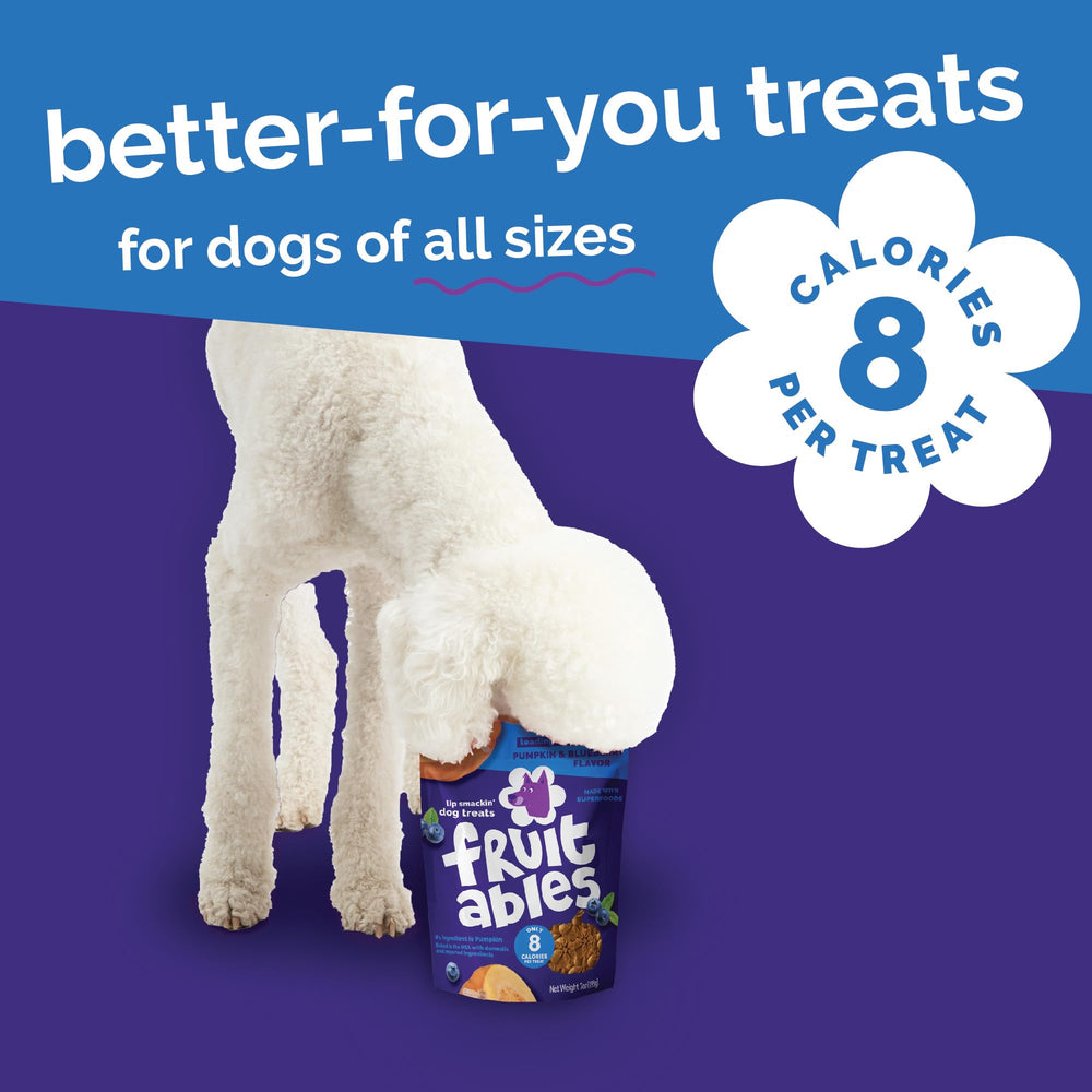 Fruitables Pumpkin Dog Treats Oven-baked crunch highlights crisp texture and inviting aroma.