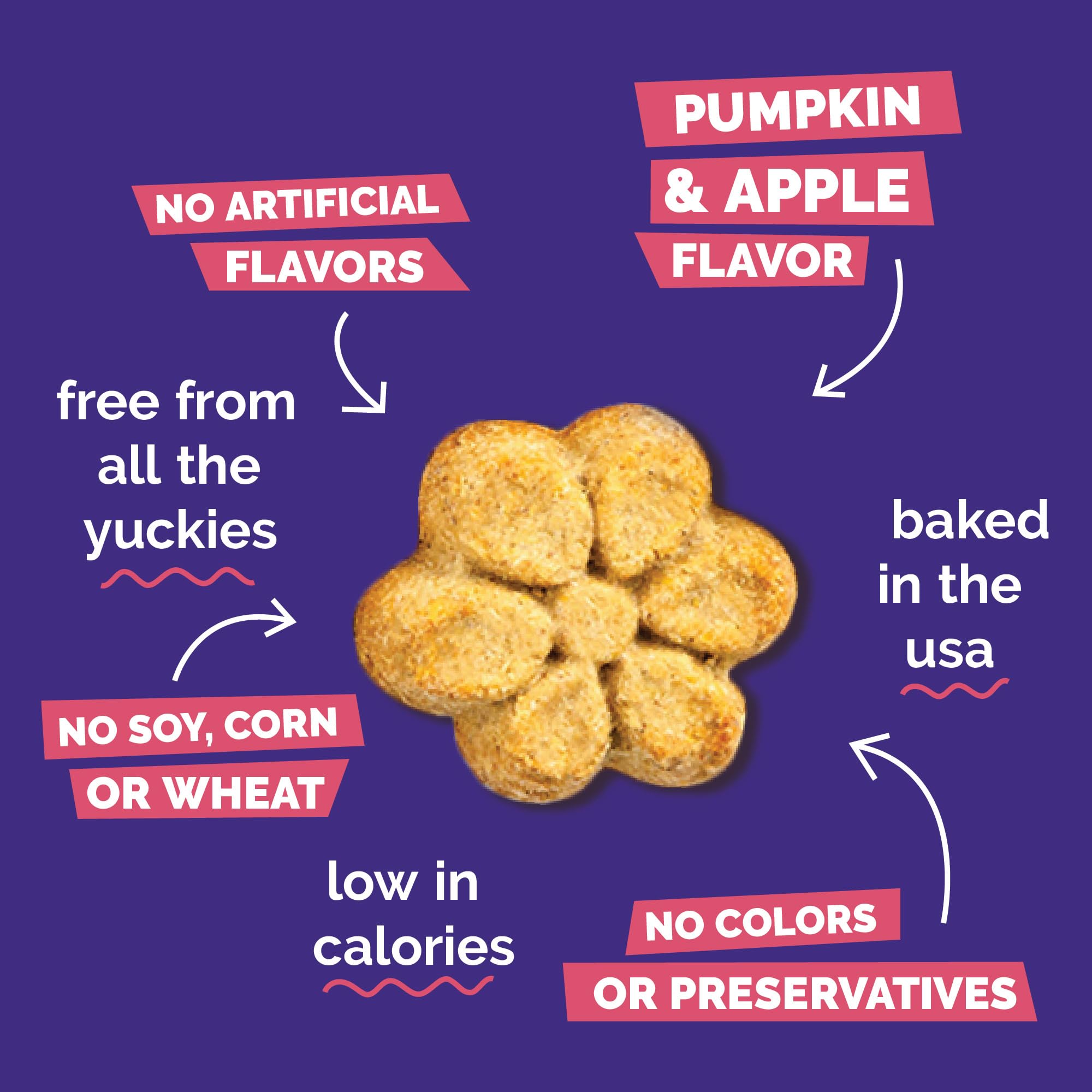 Fruitables Baked Pumpkin Dog Treats USA-made label signals quality ingredients