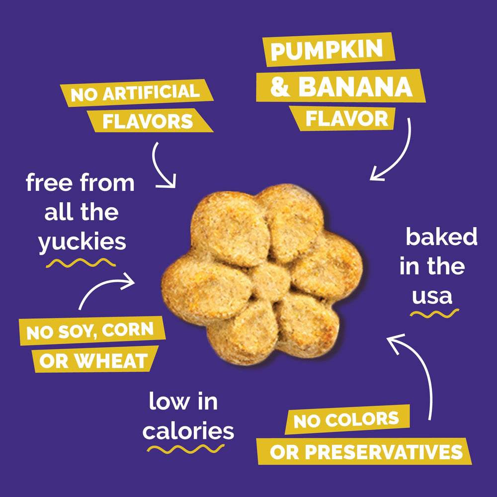 Fruitables Skinny Minis apple bacon bite ideal for quick recall during walks