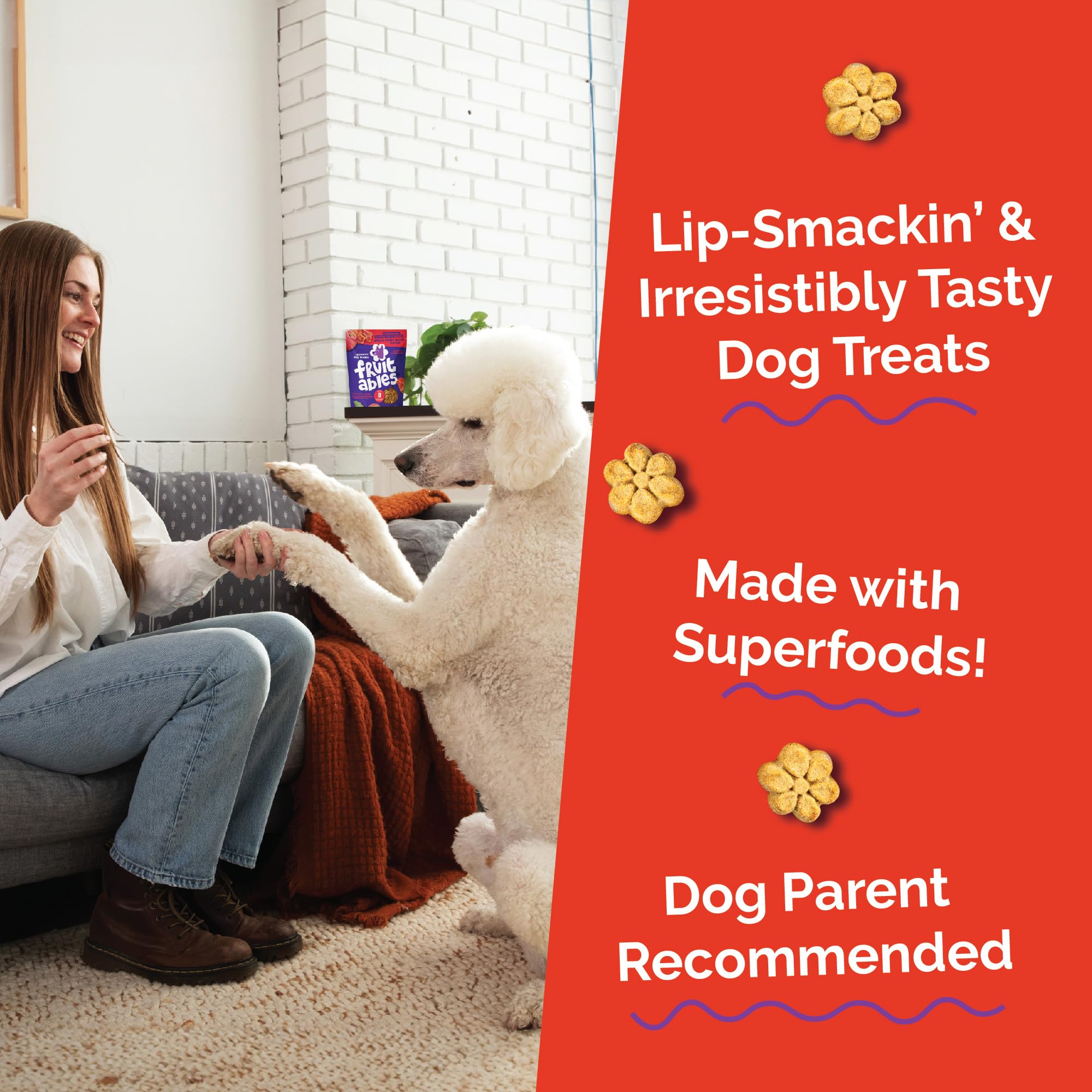 Fruitables Skinny Minis bison bite savory option for behavior rewards