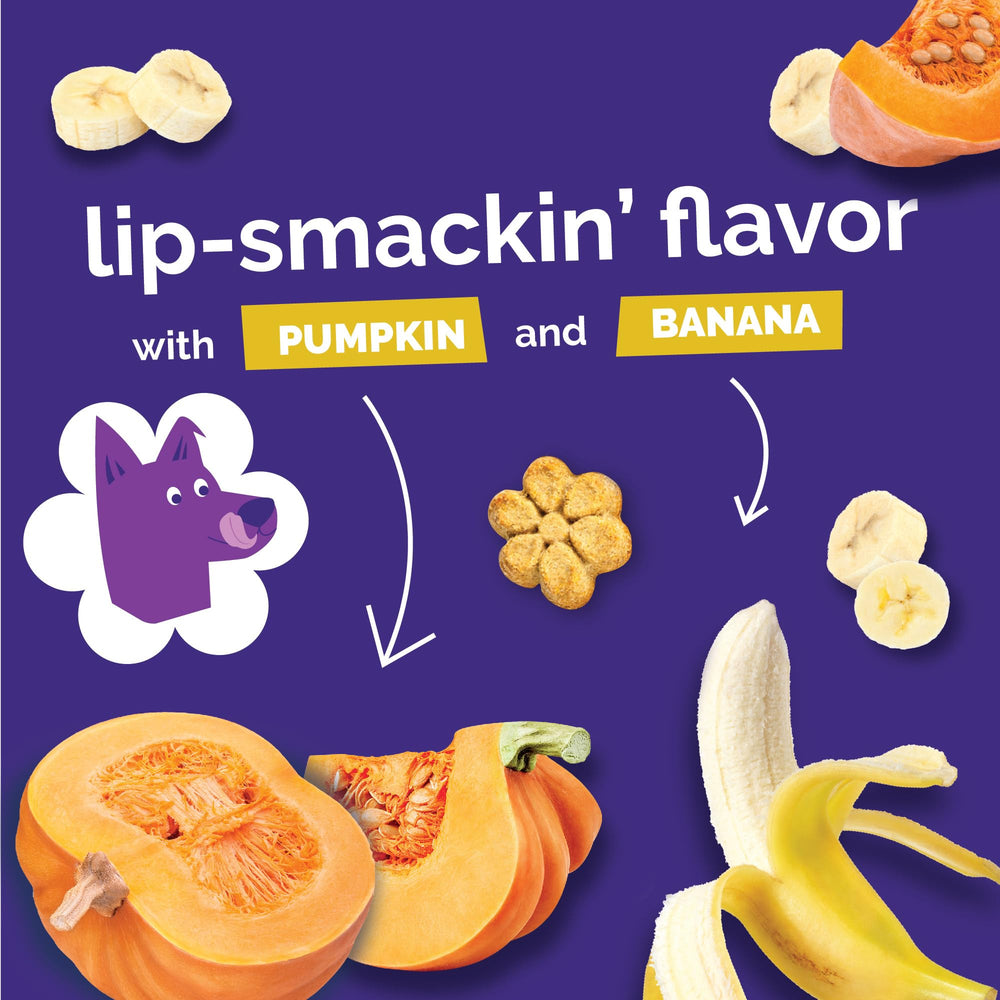Fruitables Skinny Minis pumpkin berry bite provides fiber-rich snacking during training