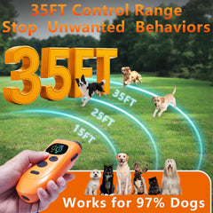 Frusiava remote control at up to 35 feet enables contact-free correction during walks.