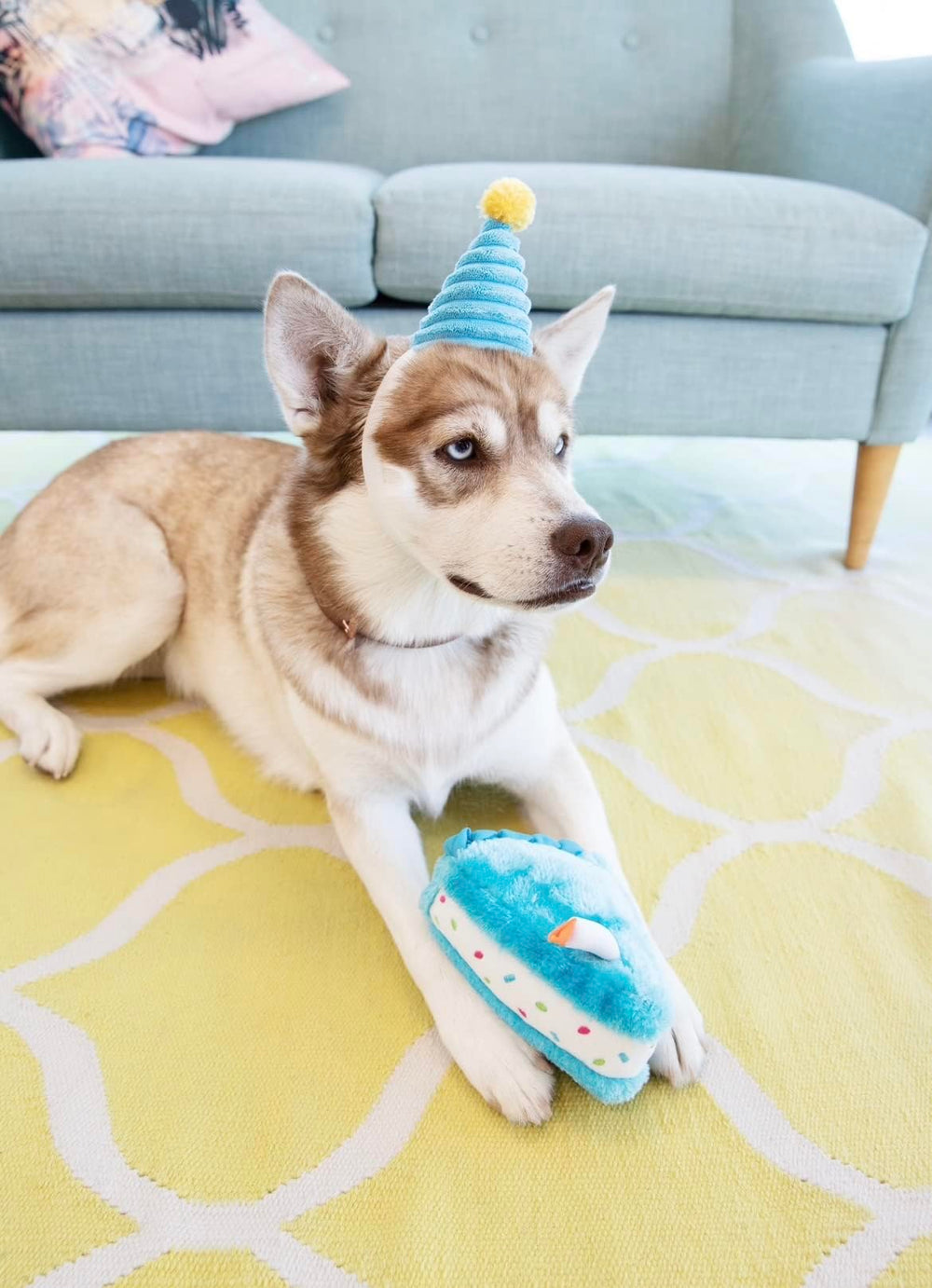 frymmx dog birthday party setup featuring toy for play