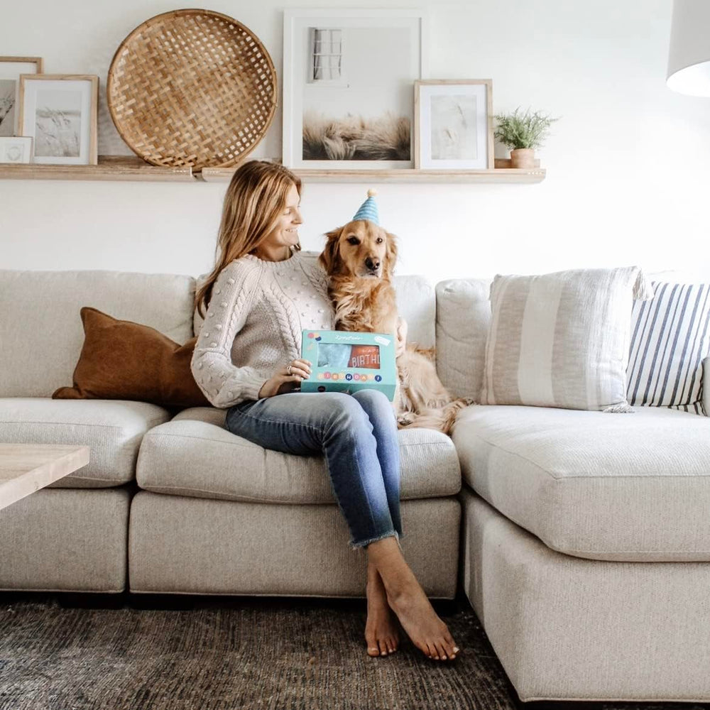 frymmx dog toy machine washable care for easy cleanup