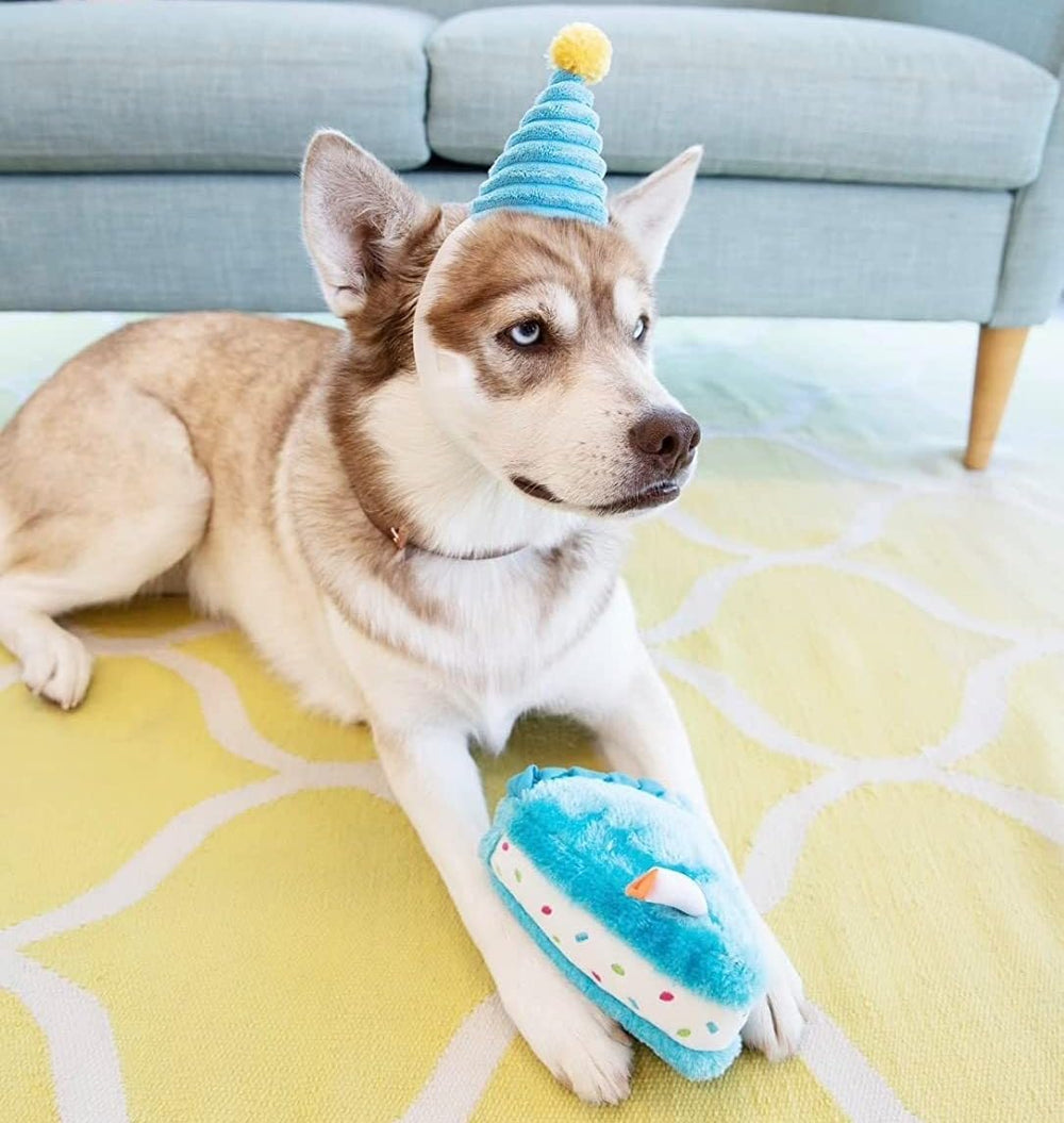 frymmx soft chewable dog toy blue close-up aids teething