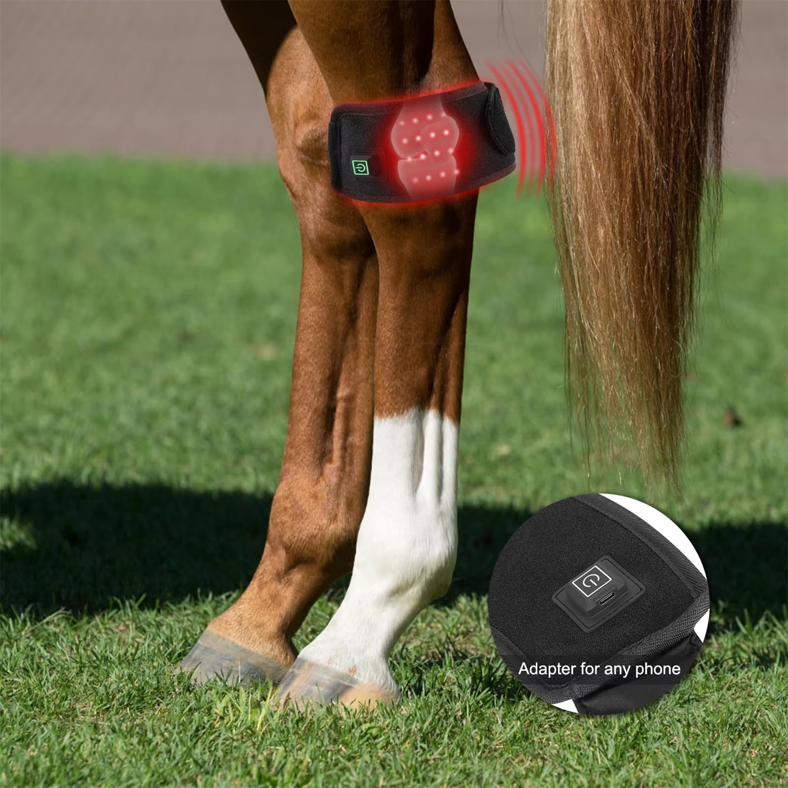 FSDLJSP battery-powered wearable wrap used during stable sessions.
