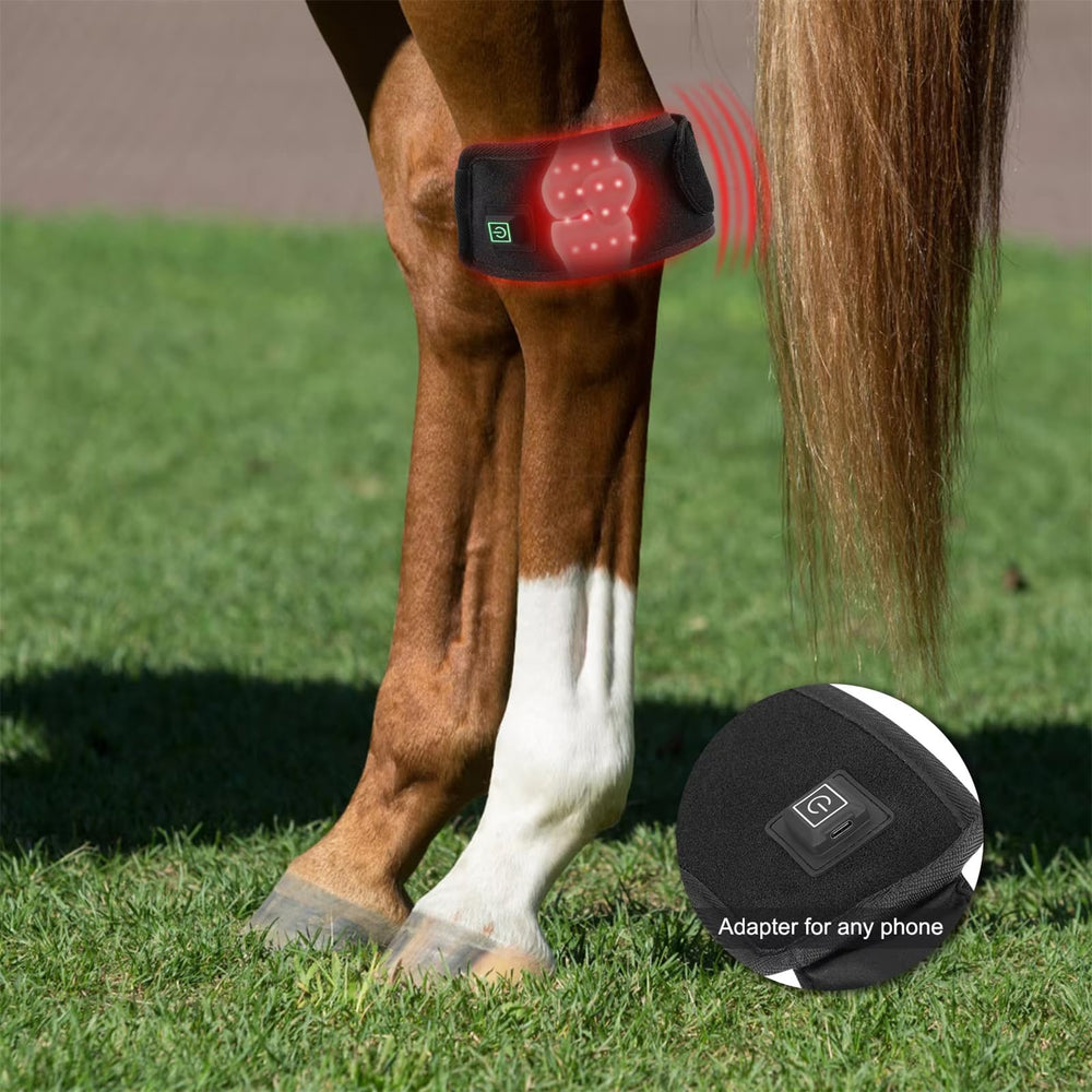 FSDLJSP battery-powered wearable wrap used during stable sessions.