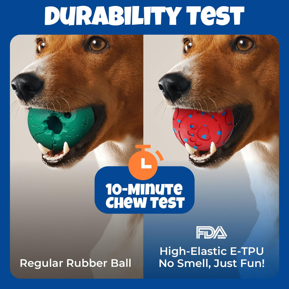 Fsitego aggressive-chewer durable shell stands up to rough play.