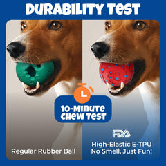 Fsitego aggressive-chewer durable shell stands up to rough play.