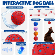 Fsitego interactive chase mode boosts canine engagement during indoor play.