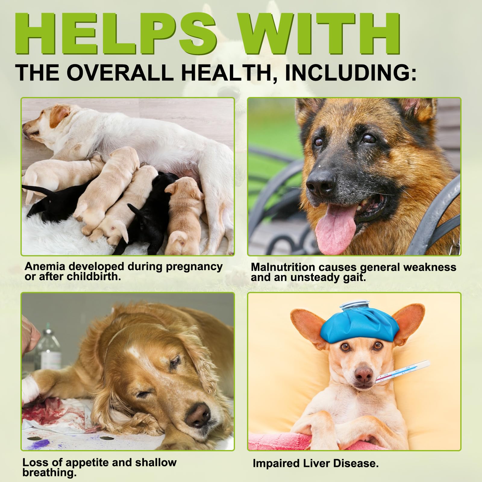 FSLHCY dog chew closeup highlights duck-flavored chew for easy daily dosing.