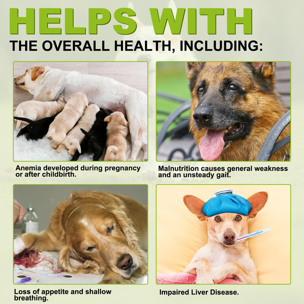 FSLHCY dog chew closeup highlights duck-flavored chew for easy daily dosing.