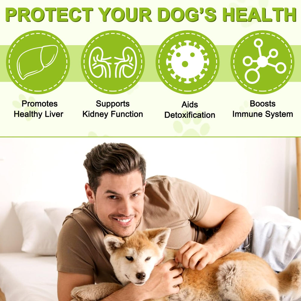 FSLHCY liver-support visual emphasizes balance and vitality for dogs.