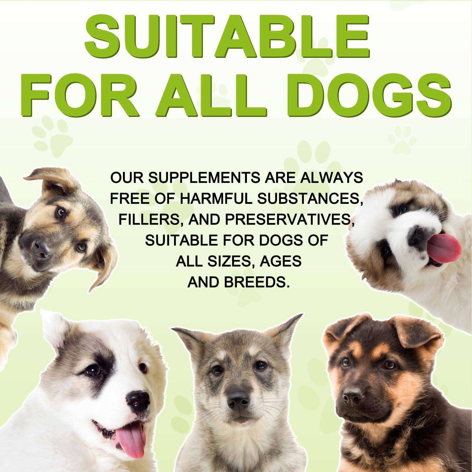 FSLHCY immune-support tablets for dogs hint at a healthier lifestyle.