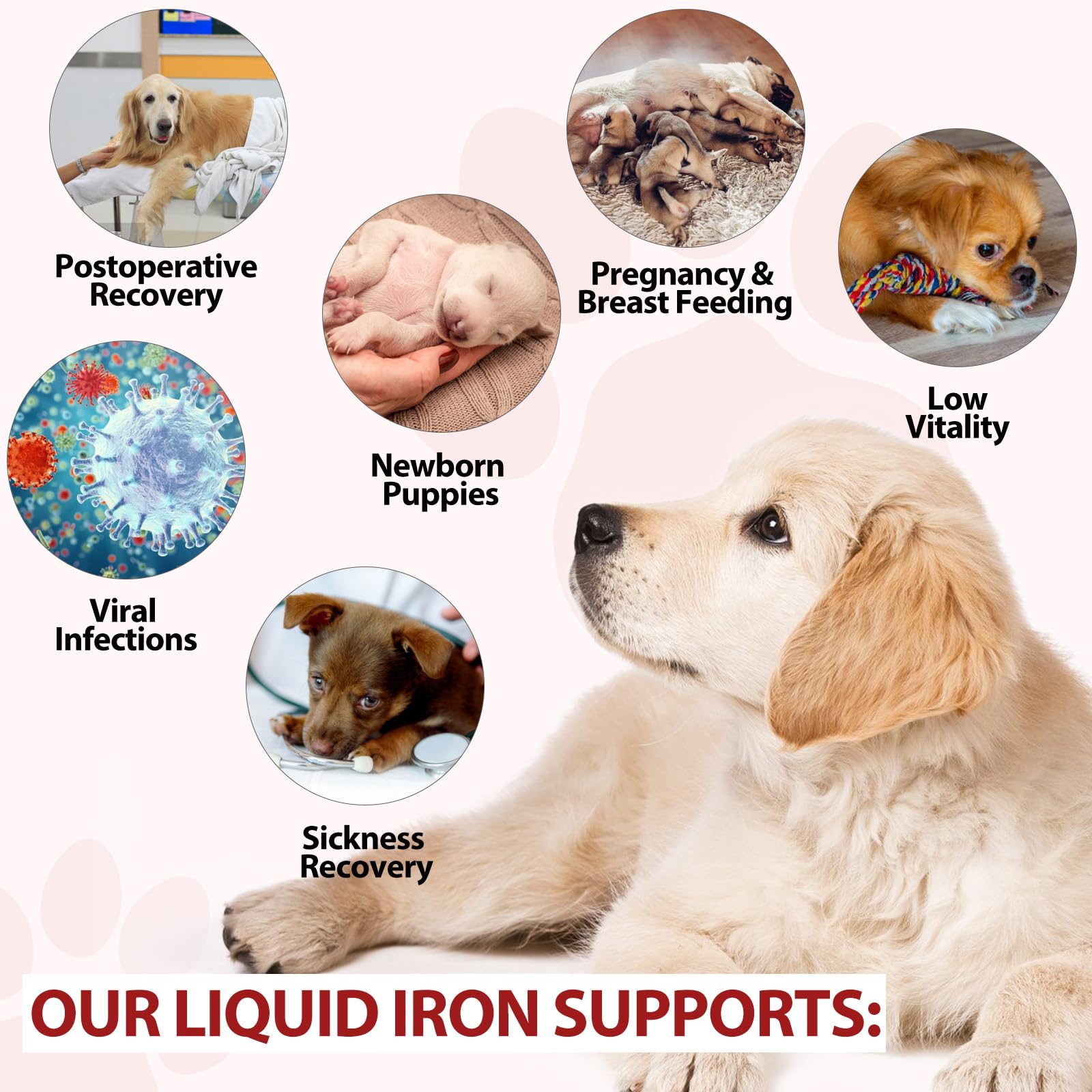 FSLHCY liquid iron energy-play photo underscores potential for more active days