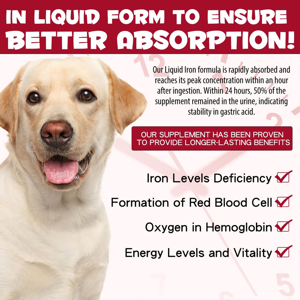 FSLHCY liquid iron dog energy image hints at increased vitality during play
