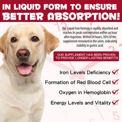 FSLHCY liquid iron dog energy image hints at increased vitality during play