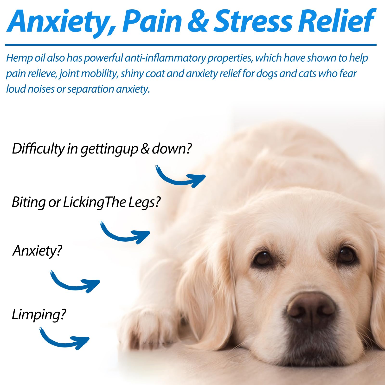 FSLHCY pet oil mixed with food for easy daily use.