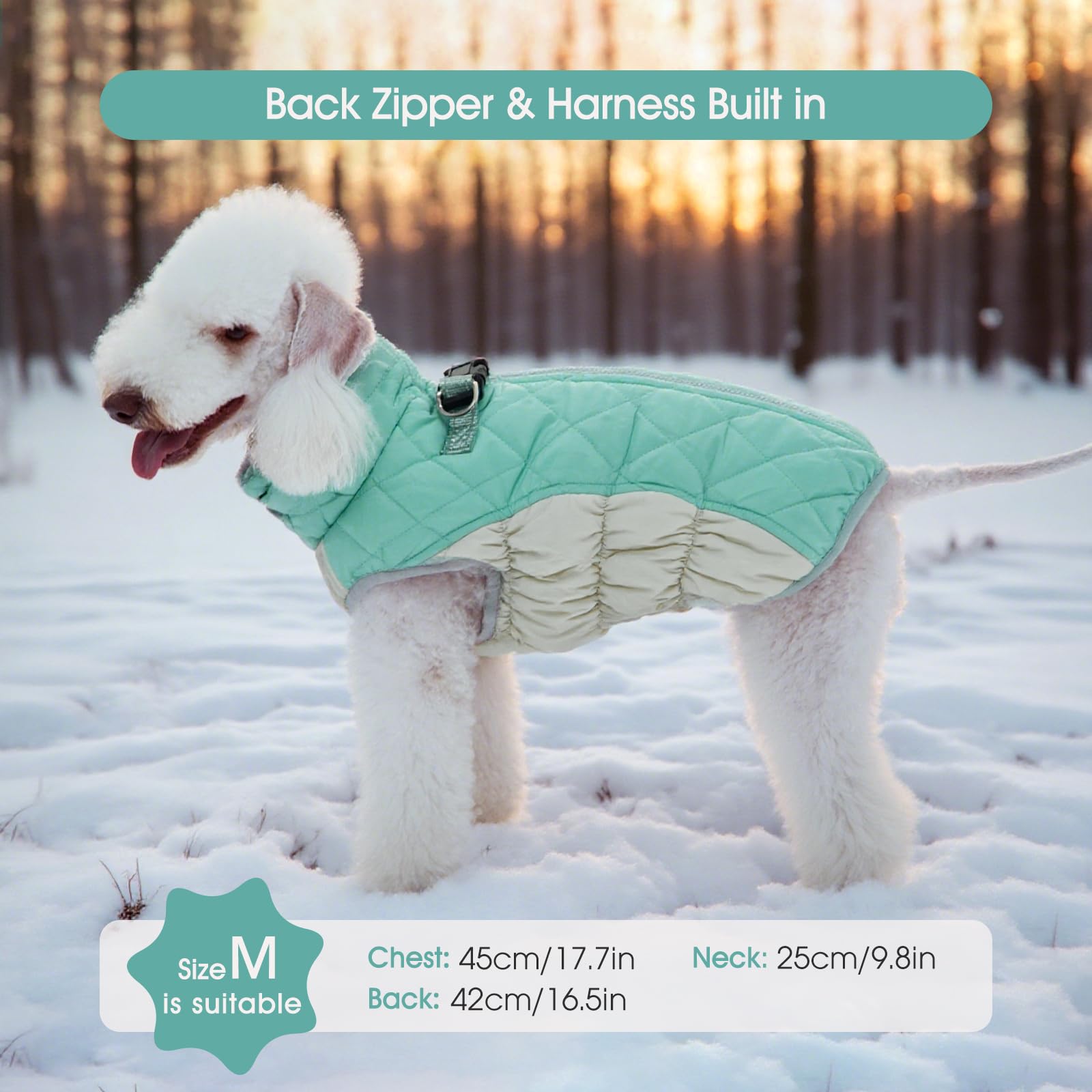 FUAMEY windproof design keeps dogs comfortable on breezy outings