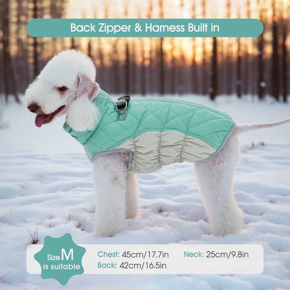 FUAMEY windproof design keeps dogs comfortable on breezy outings
