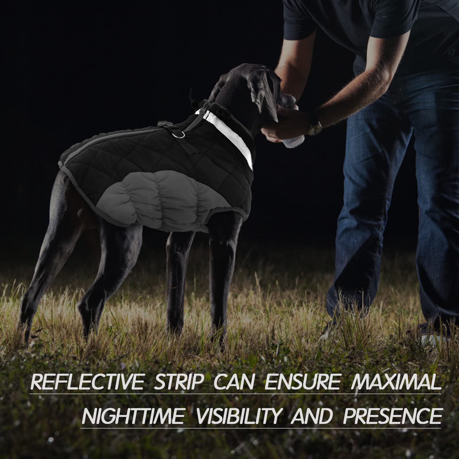 FUAMEY back-zipper harness system for easy leash attachment
