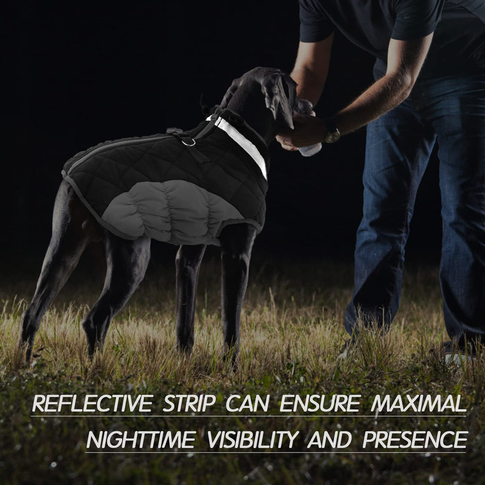 FUAMEY back-zipper harness system for easy leash attachment