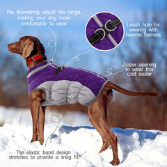 FUAMEY dog coat built-in harness simplifies leash attachment without extra gear