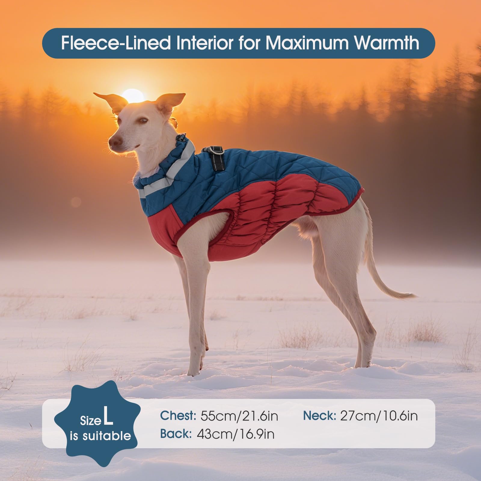 FUAMEY seven-size range ensures a snug fit for many breeds.
