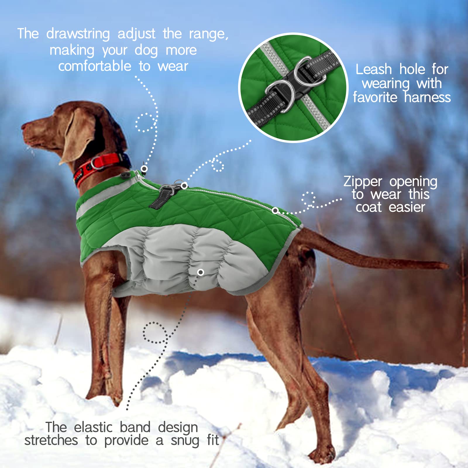 FUAMEY dog coat neck elastic straps prevent drafts during walks.