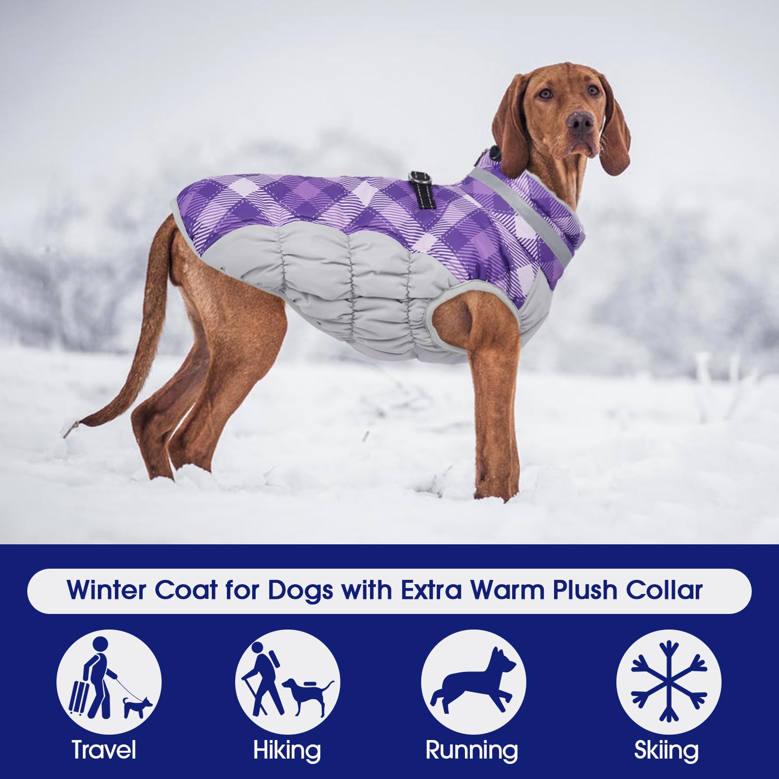 FUAMEY dog coat reflective strip enhances night walk visibility.