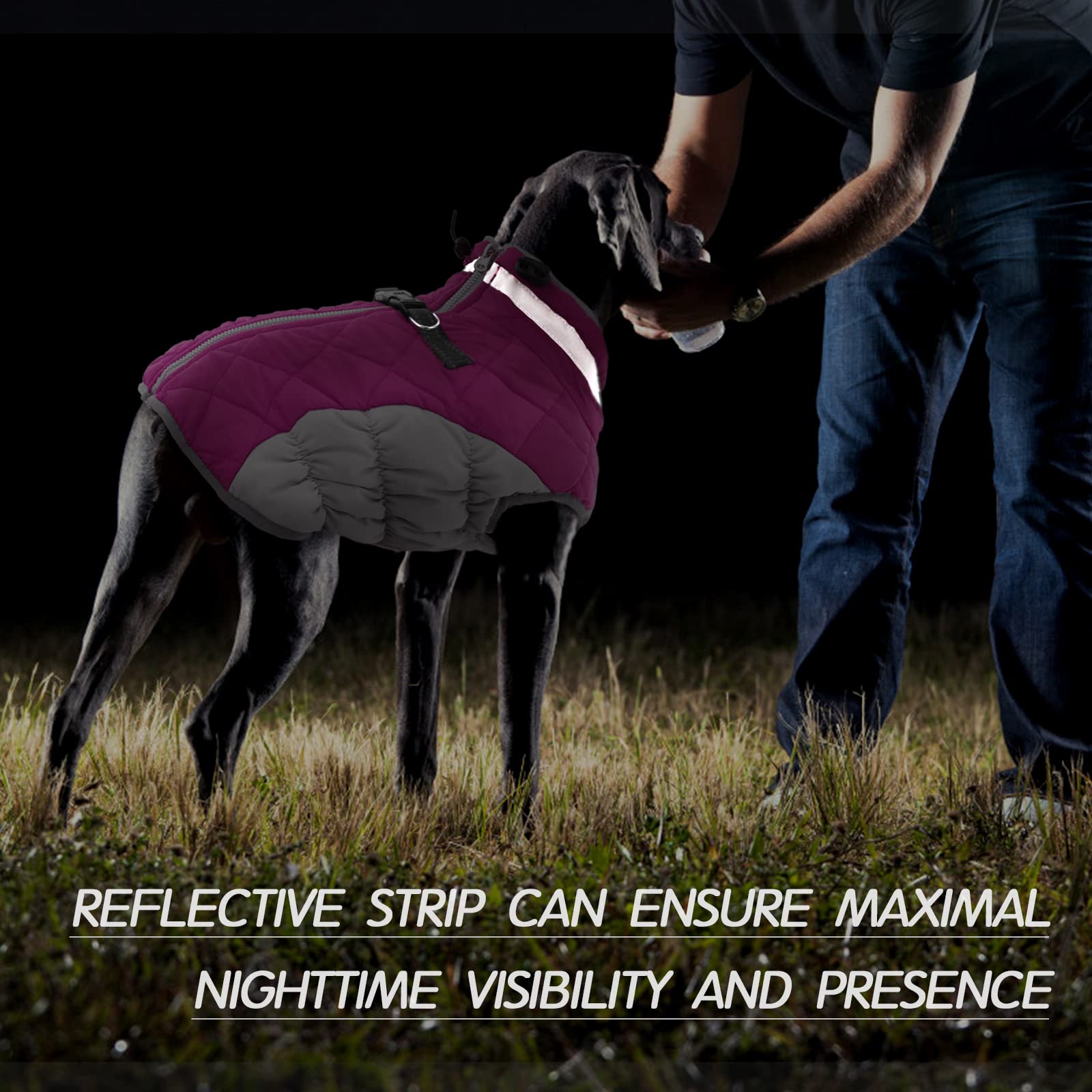 FUAMEY large-breed fit keeps chests and necks protected in cold weather.