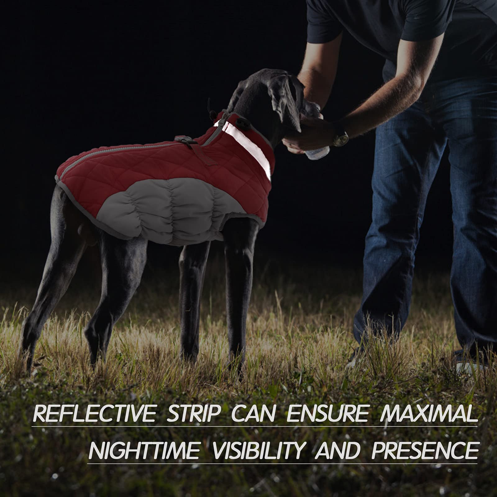 FUAMEY dog coat small red XS reflective strip improves nighttime visibility